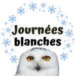 Journées blanches, harfang des neiges, activité plein air, hiver, famille