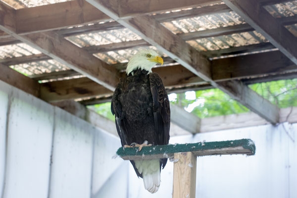 Complexe de réhabilitation chouette à voir !