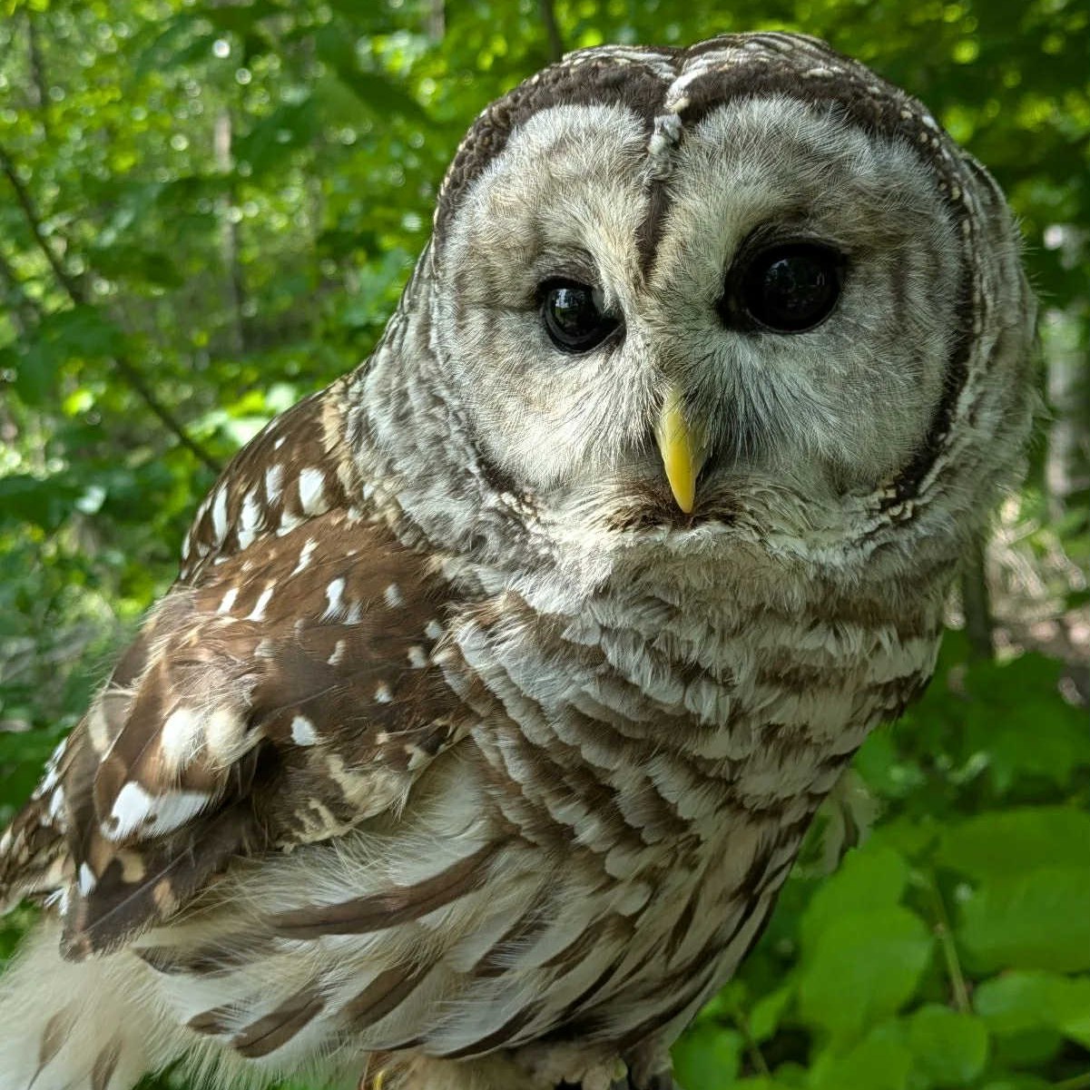 548284082_1192811986223553_4642291056240316238_n