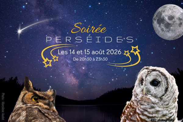Perséides (page accueil site web CAV) 2026