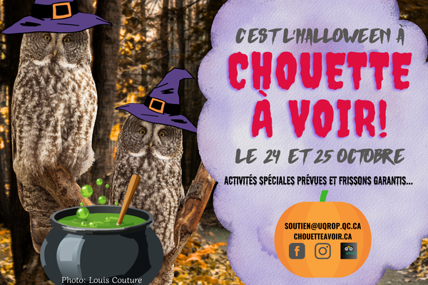 Halloween 2026 - site web 600 x 400 (1)